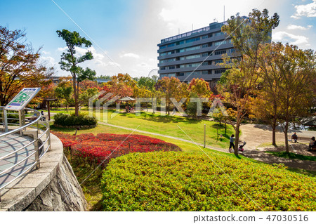 大阪大學醫院 47030516