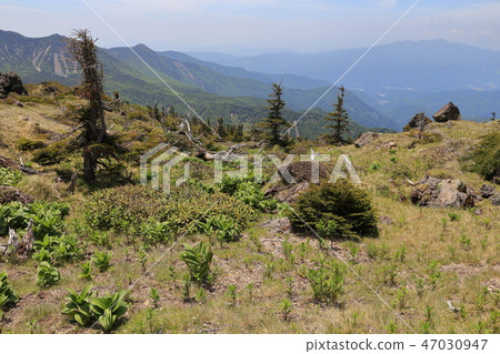 從大約2400米的Nikko Shirane看看Budosan山的方向 47030947