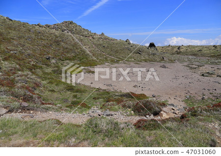 Near the top of the forest margin at Nikko Shiraneyama Near the top of the forest margin at Nikko Shiraneyama 47031060