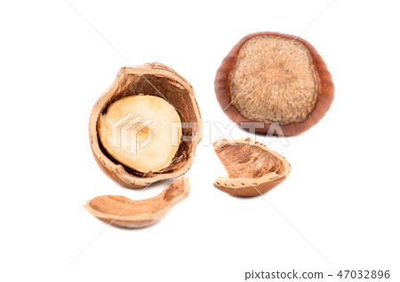 Half of hazelnut with fragments Half of hazelnut with fragments 47032896