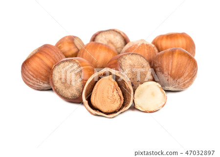 Hazelnuts in shell Hazelnuts in shell 47032897