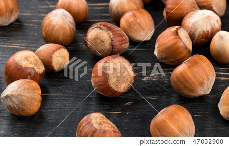 Hazelnuts in shell Hazelnuts in shell 47032900