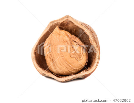 Open hazelnut Open hazelnut 47032902