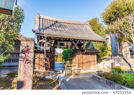 Tokyo downtown area scenery of the valley 47033358