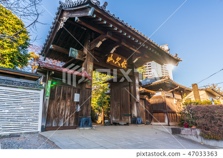 Tokyo downtown area Scenery of the valley Honjoji Temple (Tsukimi-ji Temple) 47033363