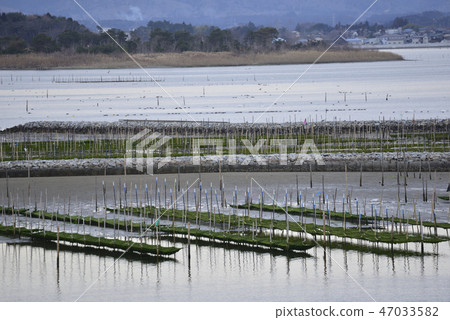 Nori farm Nori farm 47033582