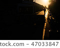 Sunlight 47033847
