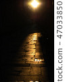 Sunlight 47033850