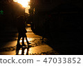 Sunlight 47033852