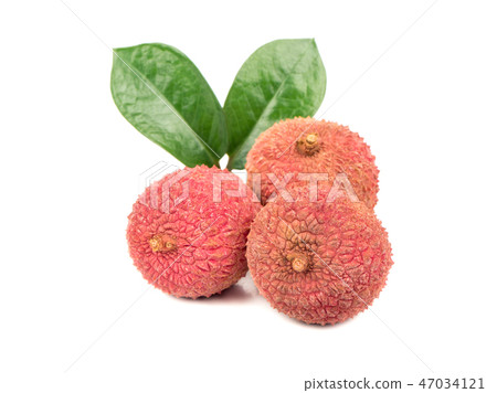 Three lychee fruits Three lychee fruits 47034121