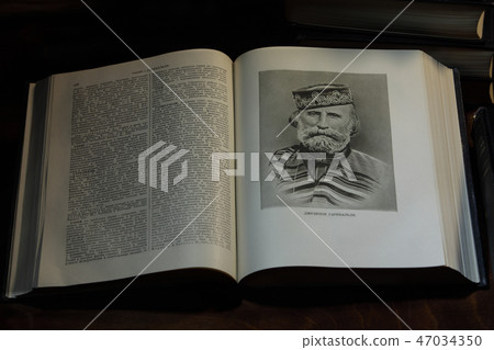 Portrait of Giuseppe Garibaldi 47034350