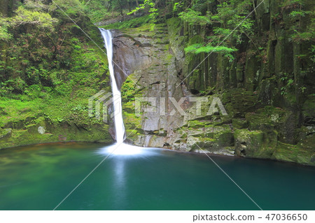 Red Eye Shimpaki Waterfall Cloth Falls Red Eye Shimpaki Waterfall Cloth Falls 47036650