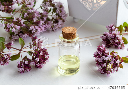 A bottle of oregano essential oil  47036665