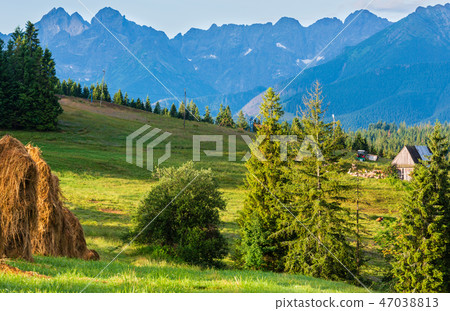 Summer mountain country view Summer mountain country view 47038813