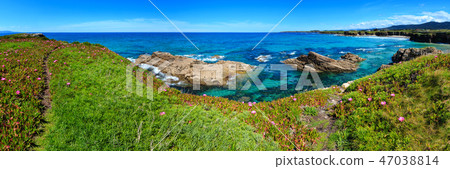 Atlantic blossoming coastline (Spain). Atlantic blossoming coastline (Spain). 47038814