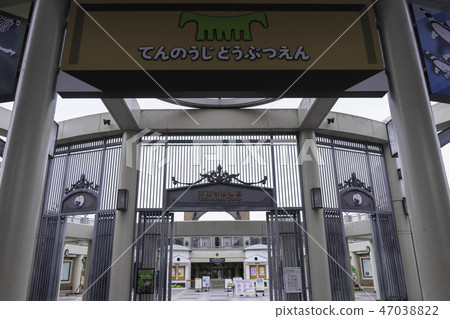 Tennoji Zoo Tennoji Zoo 47038822