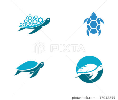 Turtle animal cartoon icon 47038855
