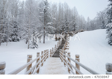 Wooden stairs through the forest in North Russia Wooden stairs through the forest in North Russia 47038947
