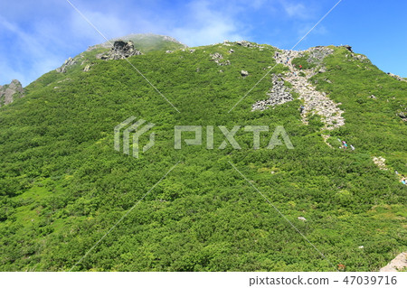 Iwakiyama Road to the summit 47039716