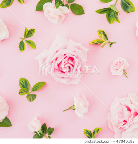 Floral pattern composition with roses and leaves 47040192