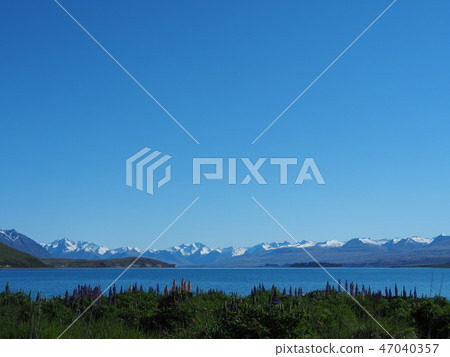 Lake Tekapo spring 47040357