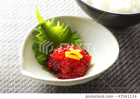 肌肉發達的醬油31 47041114