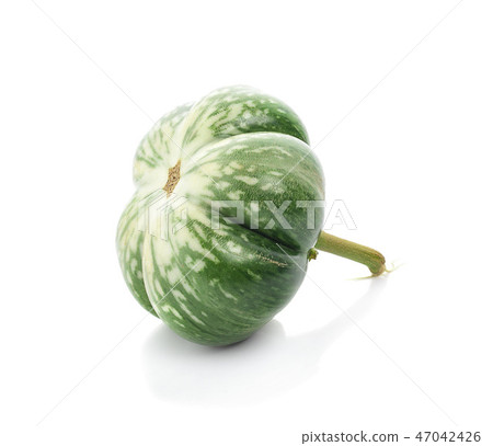 thai eggplant or Yellow berried nightshade  47042426