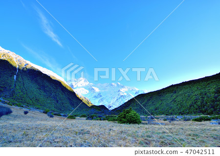 Alps Mt. Cook and National Park in the Southern Hemisphere before sunrise 47042511
