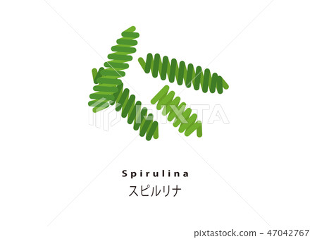 Popular Super Food / Spirulina 47042767