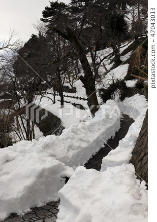 丸岡城堡在2018年大雪之後的10天丸岡城堡（福井縣坂井市丸岡鎮，2018年大雪） 47043013