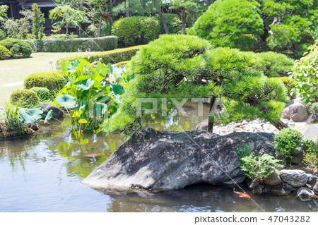 葛飾Shibamata皇帝Shuengi花園（Sui Keiken） 47043282