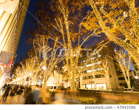 表參道的照明 47043566