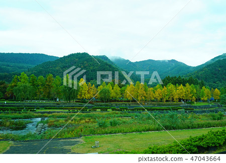 Mt. Asahi Yamagata Prefecture Autumn leaves 47043664