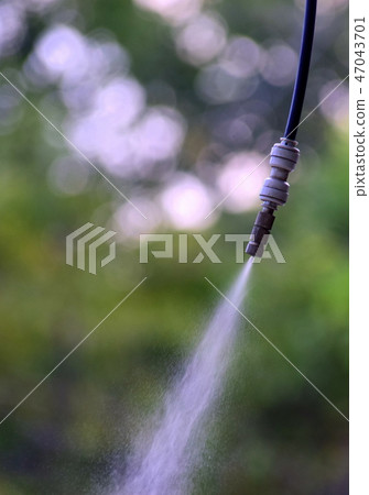 Spray Spray 47043701
