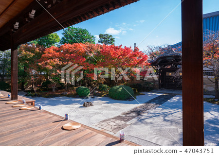 Autumn leaves of Kyoto Myoyanji Autumn leaves of Kyoto Myoyanji 47043751