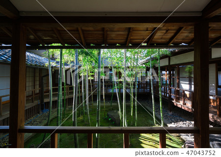 Bamboo garden of Kyoto Shichoji temple 47043752