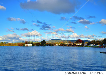 Lake Rotorua and Government Garden 47043972