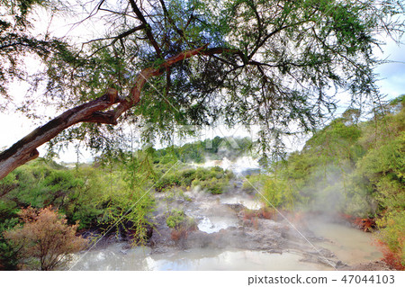 Tourist attractions in Rotorua hot spring culture and Maori culture 47044103