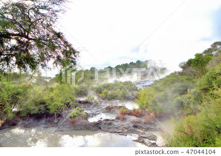 Tourist attractions in Rotorua hot spring culture and Maori culture 47044104
