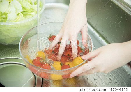 Wash cooking and vegetables 47044122