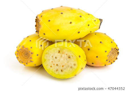 yellow prickly pear or opuntia with half isolated on a white background 47044352