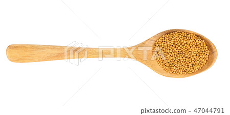 Yellow mustard seeds in wooden spoon isolated on white background, top view Yellow mustard seeds in wooden spoon isolated on white background, top view 47044791