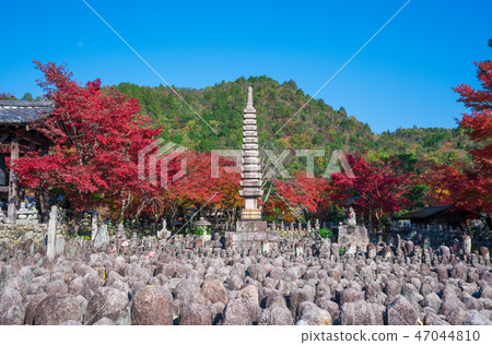 Autumn leaves of Kyoto Akashino Nembutsu-ji Temple 47044810