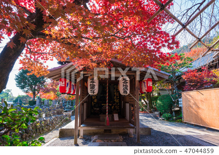 京都Akashino Nembutsu籍寺廟秋葉 47044859