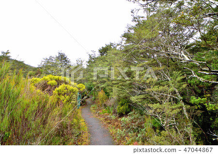 Holy Land of Maori People Tongariro National Park and Bayview Chateau Tongariro Hotel 47044867