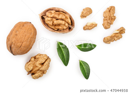 Walnuts with leaf isolated on white background. Top view. Flat lay Walnuts with leaf isolated on white background. Top view. Flat lay 47044938
