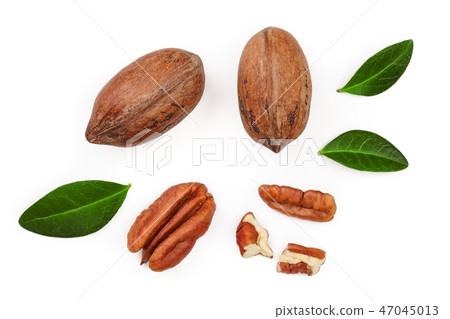 pecan nut decorated with green leaves isolated on white background. Top view. Flat lay 47045013