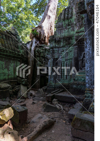 [奇觀] [世界遺產]塔普倫，吳哥遺址 47046164