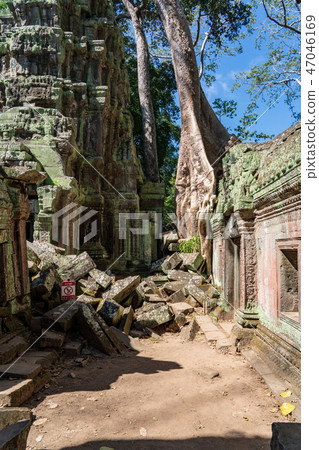 [美景] [世界遺產]塔普倫寺遺址上覆蓋著四毛絨 47046169