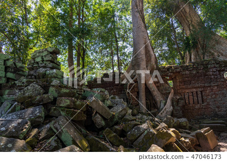 [美景] [世界遺產]塔普倫寺遺址上覆蓋著四毛絨 47046173